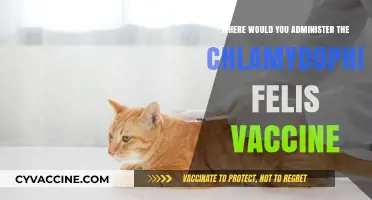 Administering the Chlamydophila Felis Vaccine: Optimal Locations for Cats