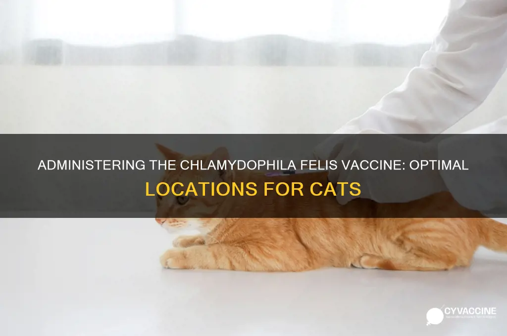 where would you administer the chlamydophilia felis vaccine