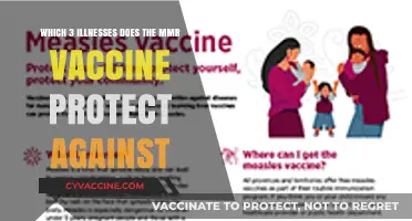 MMR Vaccine: Shielding Against Measles, Mumps, and Rubella