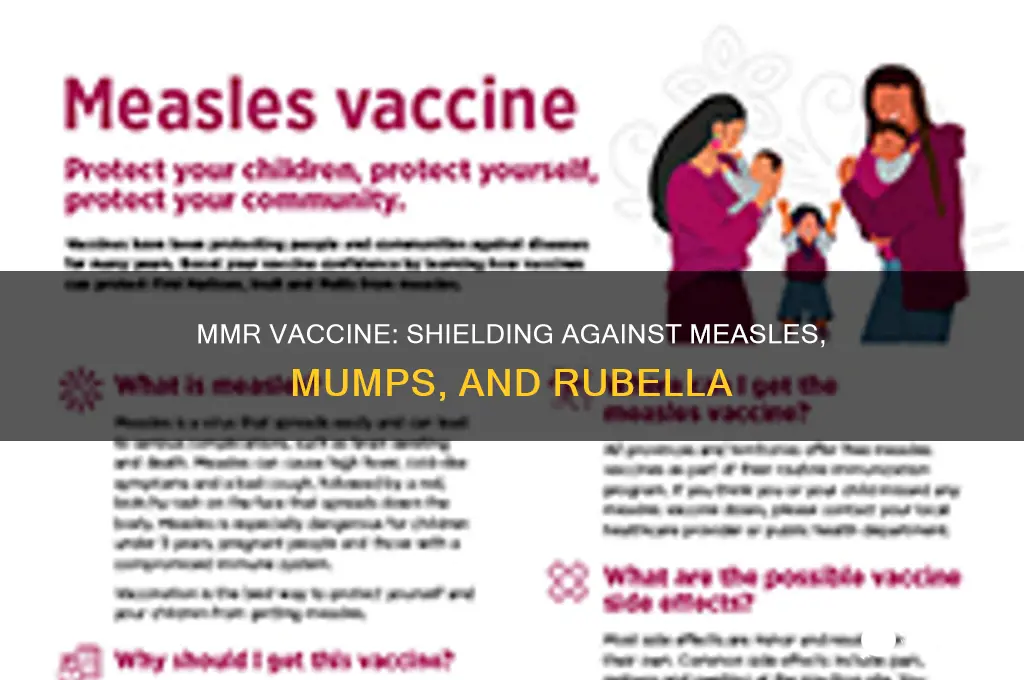 which 3 illnesses does the mmr vaccine protect against