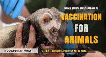 Animal Vaccination Approval: Which Regulatory Agency Holds the Authority?
