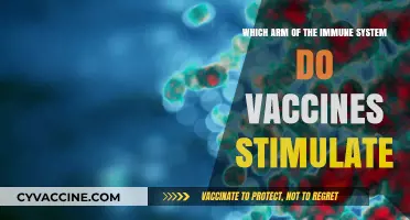 How Vaccines Activate the Immune System's Adaptive Defense Mechanisms