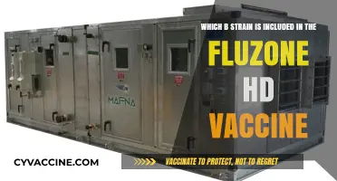 Fluzone HD Vaccine: Identifying the Specific B Strain Included