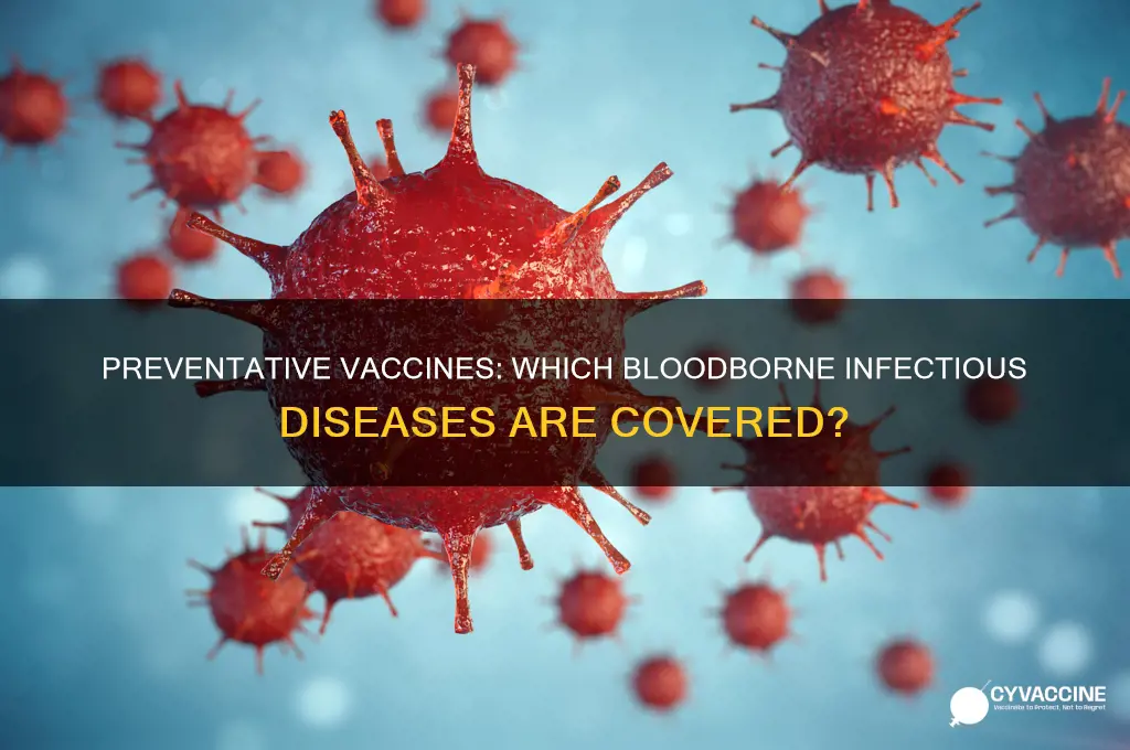 which bloodborne infectious dissease is there a preventative vaccine for