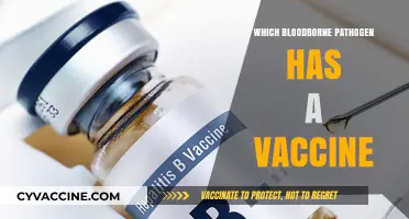 Vaccine-Preventable Bloodborne Pathogens: Which One Can You Protect Against?