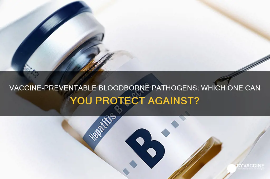 which bloodborne pathogen has a vaccine