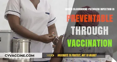 Preventable Bloodborne Pathogen Infections: Vaccines That Save Lives