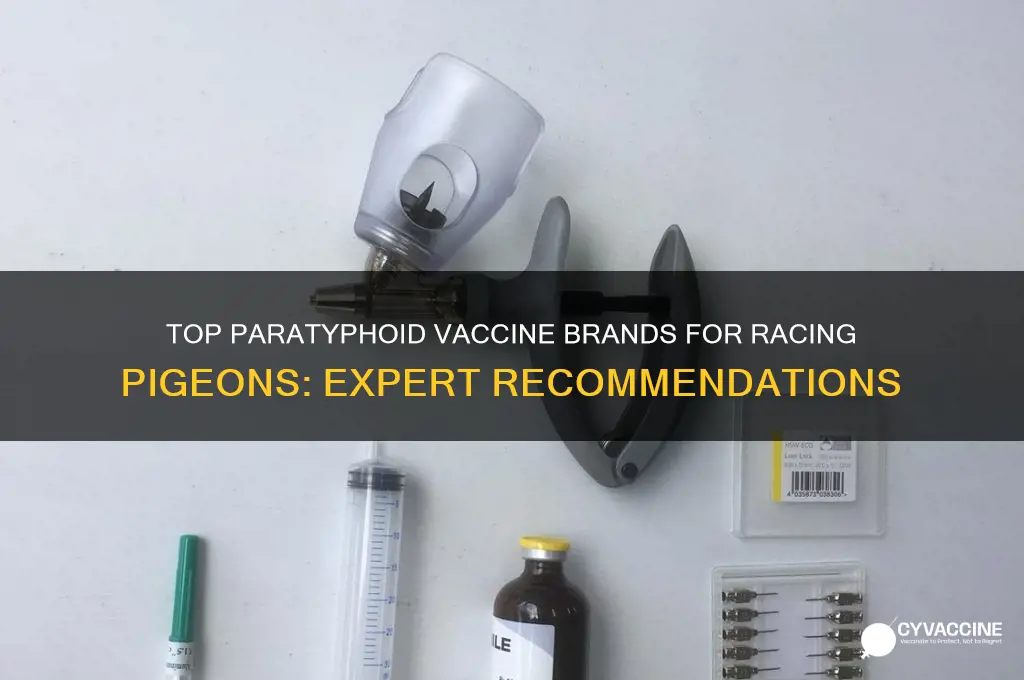 which brand is best paratoyphoyd vaccine for racing pigeons