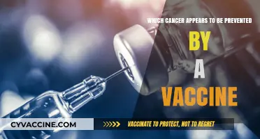 Vaccine-Preventable Cancers: Unlocking Protection Against Cervical and Liver Cancer