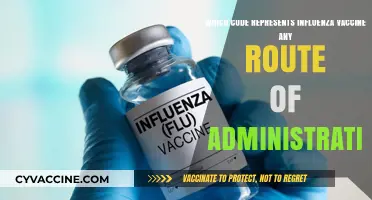 Influenza Vaccine Code: Identifying Any Route of Administration