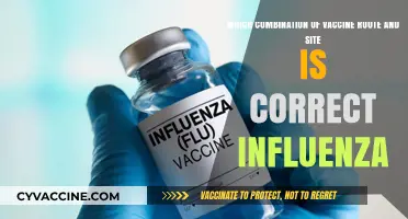 Optimal Influenza Vaccine Route and Site Combination: A Comprehensive Guide