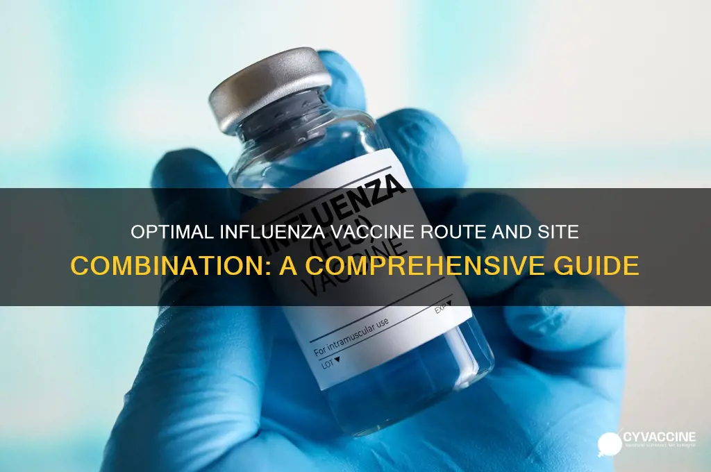 which combination of vaccine route and site is correct influenza