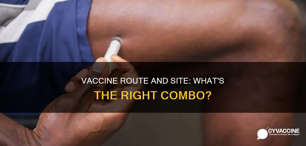 which combination of vaccine route and site is correct