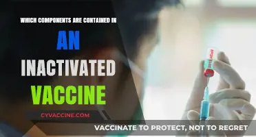 Understanding Inactivated Vaccines: Key Components and Their Roles Explained