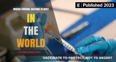Comparing Global COVID-19 Vaccines: Which One Offers Superior Protection?