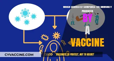 Vaccine Immunity: Comparing Active vs. Passive Protection Mechanisms