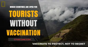Travel Without Vaccination: Countries Welcoming Unvaccinated Tourists in 2023