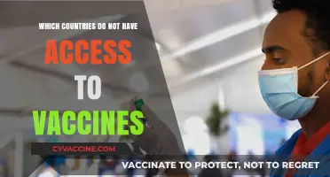Global Vaccine Inequality: Which Countries Lack Access to Life-Saving Doses?