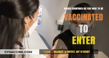 Vaccination Requirements for International Travel: Which Countries Mandate Entry?