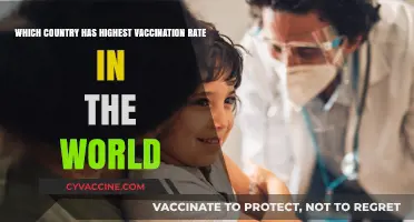 Global Vaccination Leader: Which Country Tops the Immunization Rates?