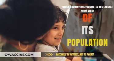 Global Vaccine Leader: Which Nation Leads in Population Immunization?