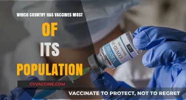 Global Vaccine Leaders: Which Country Has Vaccinated Most Citizens?