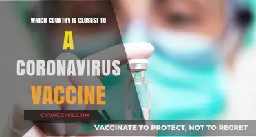 Global Race: Which Nation Leads the COVID-19 Vaccine Development?