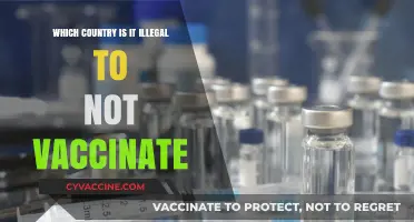 Global Vaccine Laws: Where Skipping Shots Can Land You in Trouble