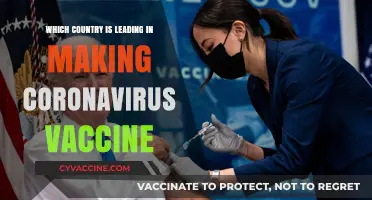 Global Race for COVID-19 Vaccine: Which Nation Leads the Charge?