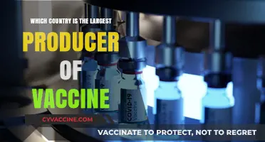 Global Vaccine Production Leader: Which Country Tops the List?
