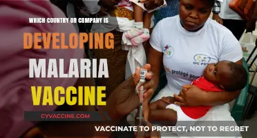 Global Race: Which Country or Company is Developing the Malaria Vaccine?