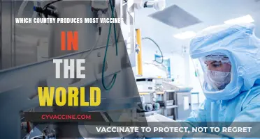 Global Vaccine Production Leader: Which Country Tops the List?