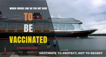 Cruise Without Vaccination: Lines That Don't Require COVID-19 Shots