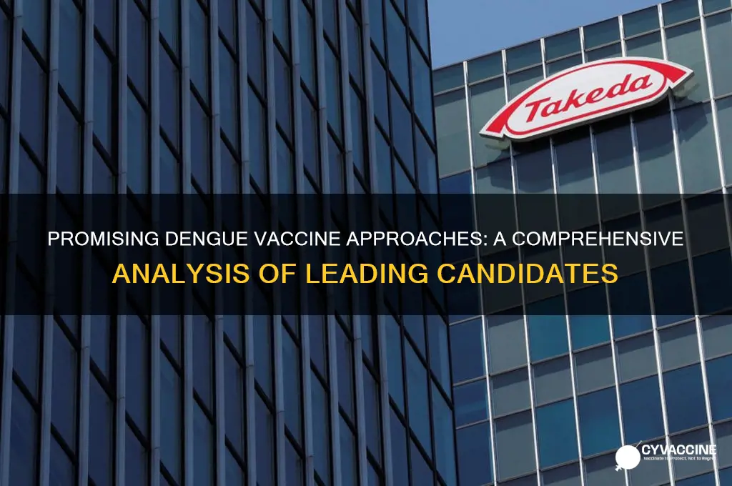 which dengue vaccine approach is the most promising