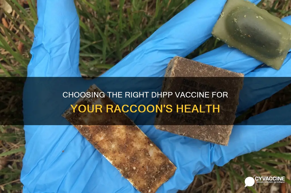 which dhpp vaccine is best for a raccoon