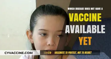 Unvaccinated Threats: Diseases Still Lacking Preventive Vaccines Today