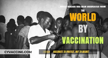 Vaccination Victory: The Global Eradication of Smallpox Explained
