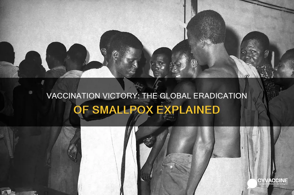 which disease has been eradicated from the world by vaccination