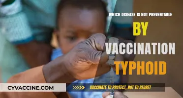 Typhoid: The Disease Vaccines Can't Prevent – What You Need to Know
