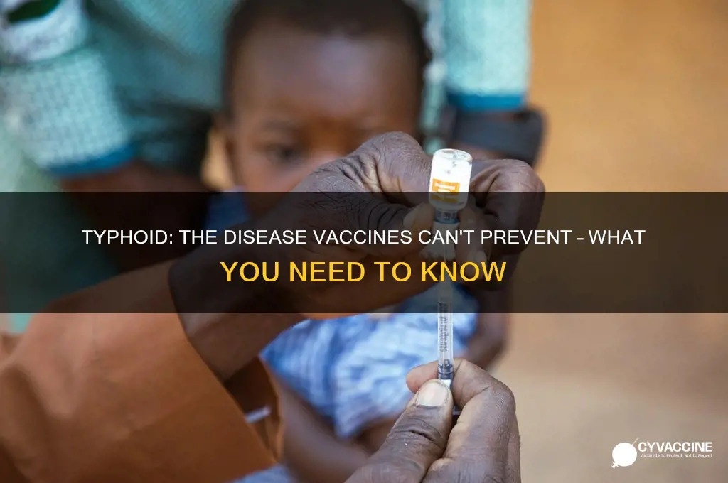 which disease is not preventable by vaccination typhoid