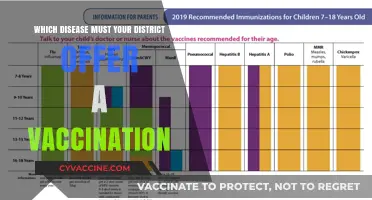 Local Health: Vaccination Offerings and Disease Prevention
