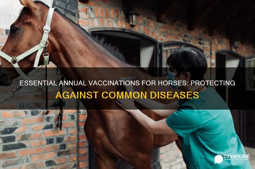 which diseases ahould horses be vaccinated against annually