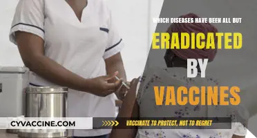 Vaccine Victories: Diseases Nearly Eradicated by Immunization Efforts