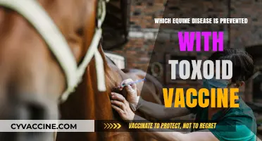 Preventing Tetanus in Horses: The Role of Toxoid Vaccination