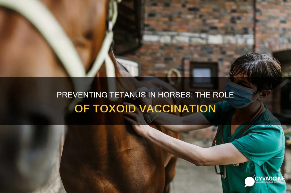 which equine disease is prevented with toxoid vaccine