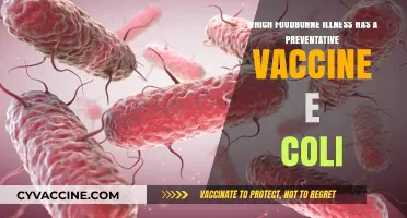 Preventing E. Coli: The Vaccine Against This Foodborne Illness