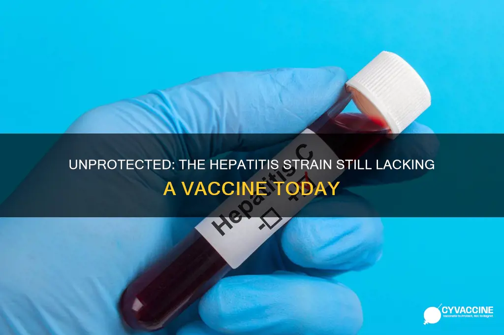 which form of hepatitis currently has no available vaccination
