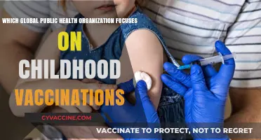 Global Health Heroes: Organizations Leading Childhood Vaccination Efforts Worldwide