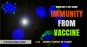 Hepatitis B Immunity Test: Identifying Vaccine-Induced Protection