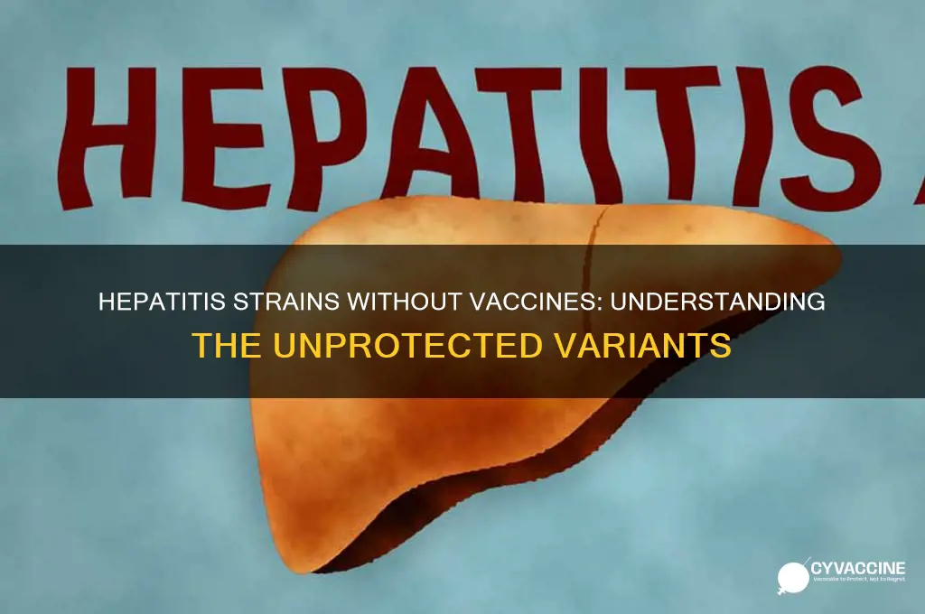 which hepatitis strain does not have a vaccine